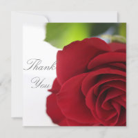 Rote Rose der Textflachkarte durch helle Farben