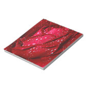 Rote Rose des Single im Regen Notizblock (Rotiert)
