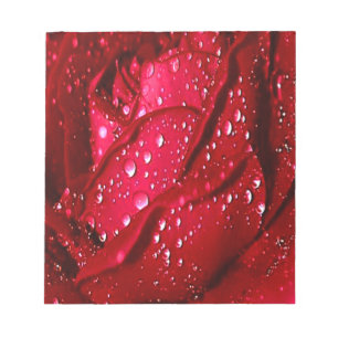 Rote Rose des Single im Regen Notizblock