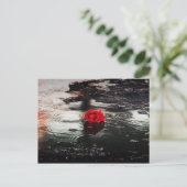 Rote Rose des Single im Regen Postkarte (Stehend Vorderseite)