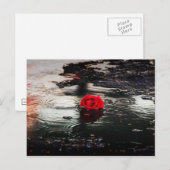 Rote Rose des Single im Regen Postkarte (Vorne/Hinten)