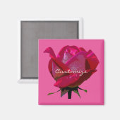 rote Rose des Single Magnet (Vorderseite/Rückseite)