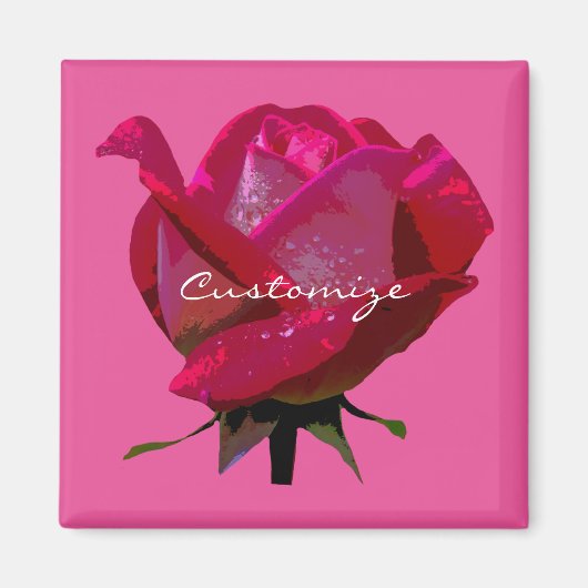 rote Rose des Single Magnet (Vorne)