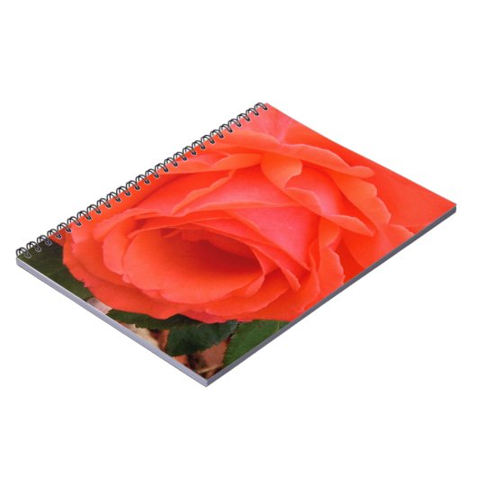 Rote Rose des Sommerkurses Notizblock (Linke Seite)