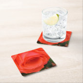 Rote Rose des Untersetzer im Sommer (Vor Ort)