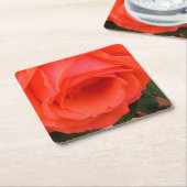Rote Rose des Untersetzer im Sommer (angewinkelt)