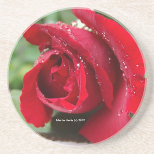 Rote Rose Dew - Untersetzer