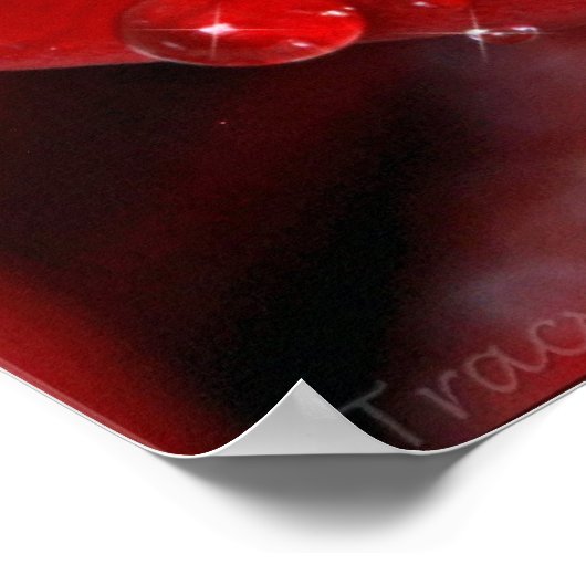 Rote Rose Diamonds Poster (Ecke)