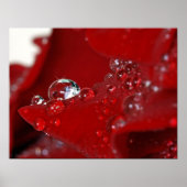 Rote Rose Diamonds Poster (Vorne)