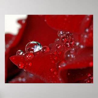 Rote Rose Diamonds Poster