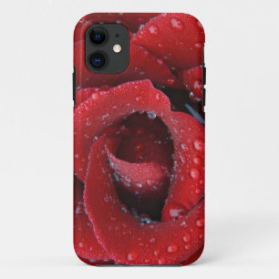 rote Rose, die mit einem Tief bedeckt ist und Grab Case-Mate iPhone Hülle