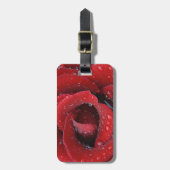 rote Rose, die mit einem Tief bedeckt ist und Grab Gepäckanhänger (Vorderseite vertikal)
