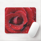 rote Rose, die mit einem Tief bedeckt ist und Grab Mousepad (Mit Mouse)