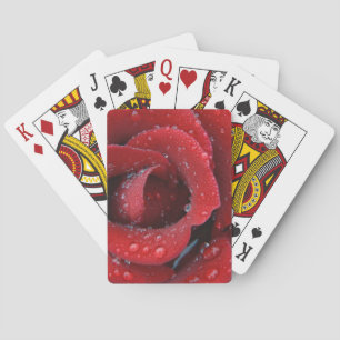 rote Rose, die mit einem Tief bedeckt ist und Grab Spielkarten