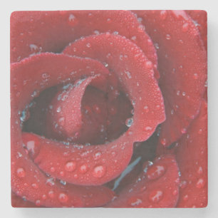 rote Rose, die mit einem Tief bedeckt ist und Grab Steinuntersetzer