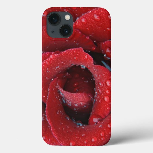 Rote Rose, die von einem Tauben bedeckt ist und Gr Case-Mate iPhone Hülle (Rückseite)
