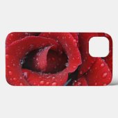 Rote Rose, die von einem Tauben bedeckt ist und Gr Case-Mate iPhone Hülle (Rückseite (Horizontal))