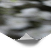 Rote Rose - Druck Poster (Ecke)