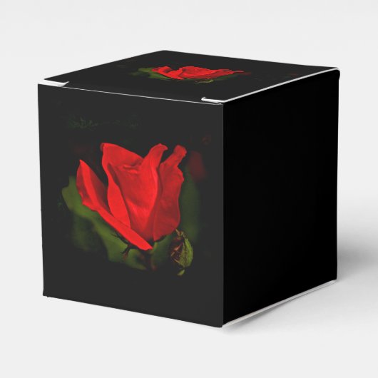 Rote Rose - dunkle Leidenschaft Geschenkschachtel (Vorderseite)