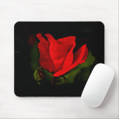 Rote Rose - dunkle Leidenschaft Mousepad (Mit Mouse)
