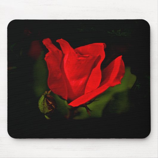 Rote Rose - dunkle Leidenschaft Mousepad (Vorne)