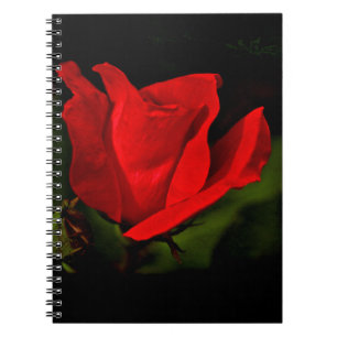 Rote Rose - dunkle Leidenschaft Notizblock