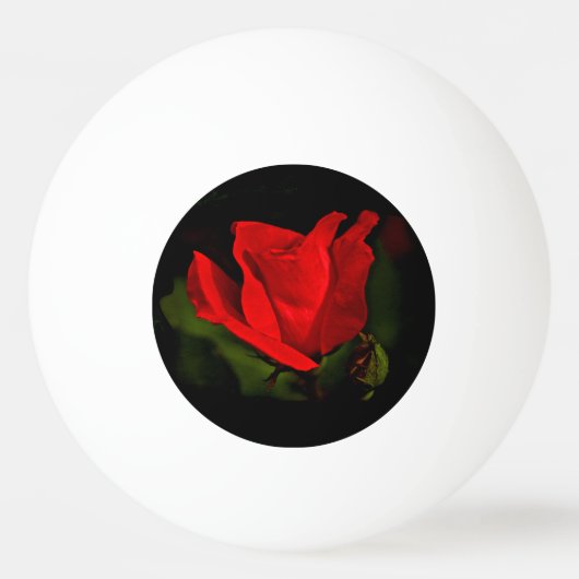 Rote Rose - dunkle Leidenschaft Tischtennisball (Vorderseite)
