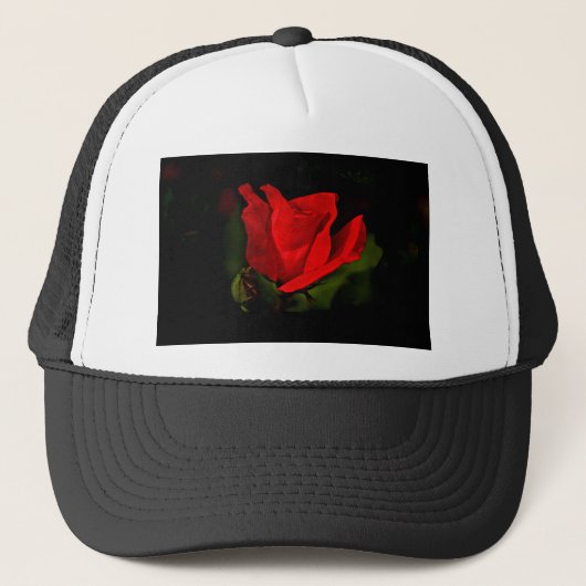 Rote Rose - dunkle Leidenschaft Truckerkappe (Vorderseite)