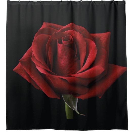 Rote Rose Duschvorhang (Vorderseite)