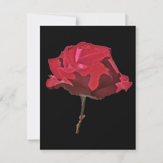 Rote Rose Einladung (Rückseite)