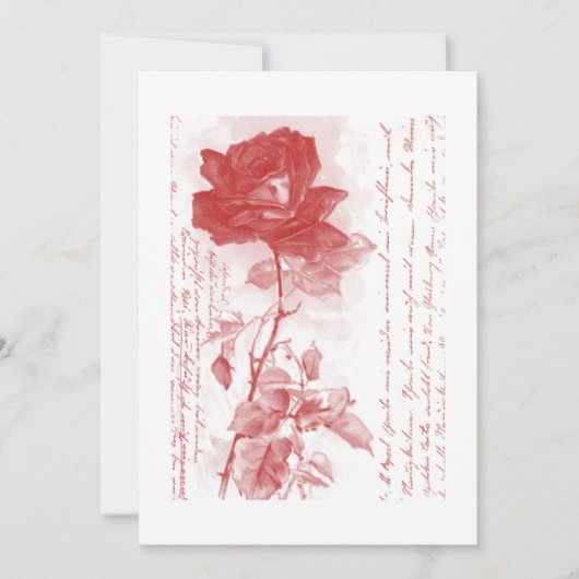 Rote Rose Einladung (Vorderseite)