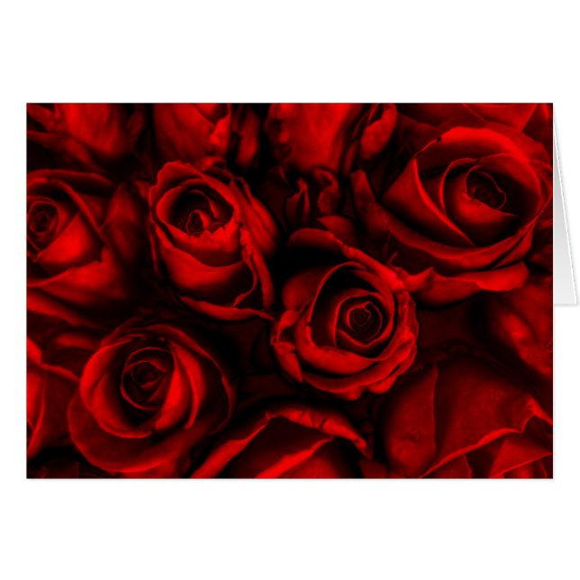 Rote Rose Elegance (Vorderseite (Horizontal))