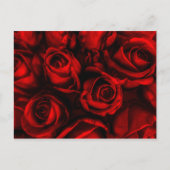 Rote Rose Elegante Postkarte (Vorderseite)