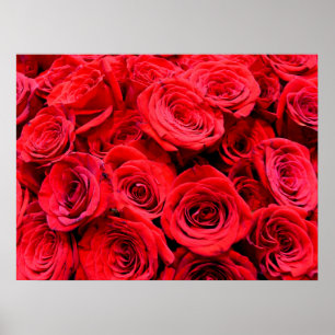 Rote Rose elegantes Foto mit rotem Blumenmotiv Mom Poster