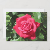 Rote Rose Feiertagskarte (Vorderseite)