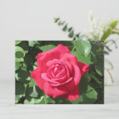 Rote Rose Feiertagskarte (Stehend Vorderseite)