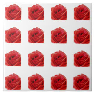 Rote Rose Fliese