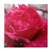 Rote Rose Fliese (Vorderseite)