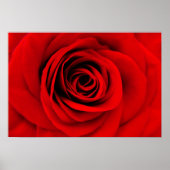 Rote Rose Floral Poster (Vorne)