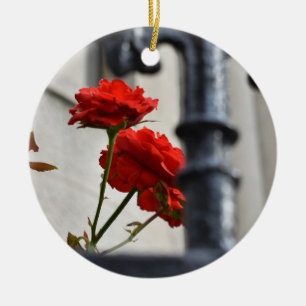 Rote Rose Flower Garden Gate New York Fotografie Keramikornament
