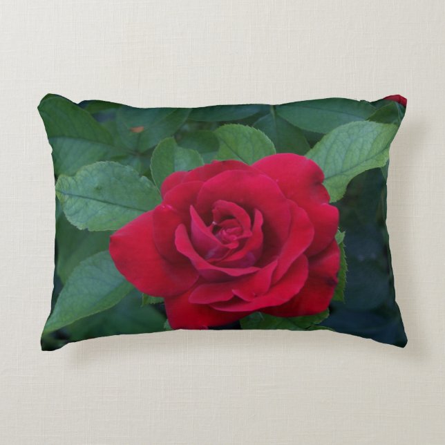 Rote Rose Foto Dekokissen (Vorderseite)