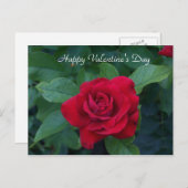 Rote Rose Foto Feiertagspostkarte (Vorne/Hinten)