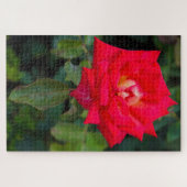 Rote Rose Foto Jigsaw Puzzle (Horizontal)
