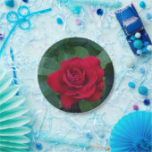 Rote Rose Foto Pappteller (Party)