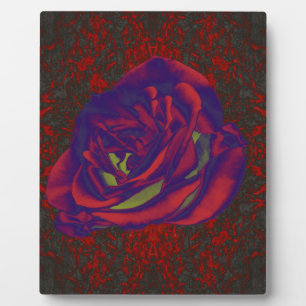 Rote Rose Foto Plaque Fotoplatte