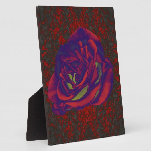 Rote Rose Foto Plaque Fotoplatte (Seite)