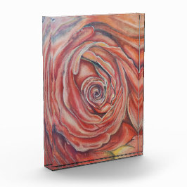 Rote Rose Fotoblock