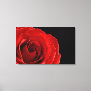 rote Rose-Fotografie in Leinwand verpackt