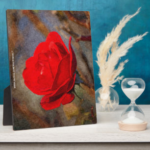 Rote Rose Fotoplatte