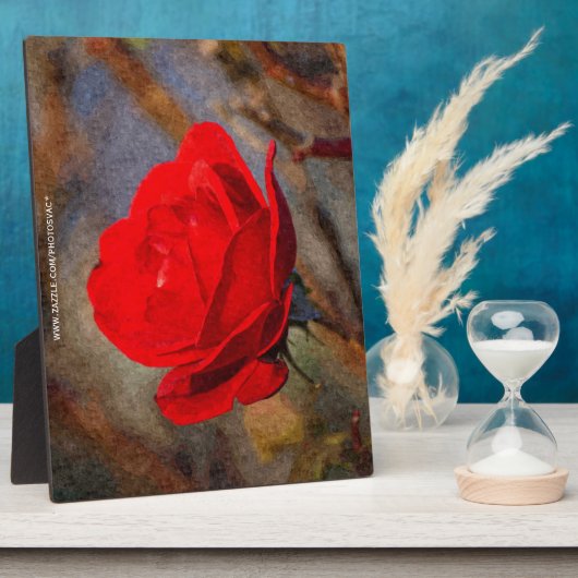 Rote Rose Fotoplatte (Seite)